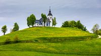 Kirche der Schmerzhaften Frau (Sv. Sobota), Slowenien von Henk Meijer Photography Miniaturansicht