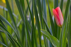 Un éveil dans l'ombre