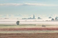 Wormer wakes up in the fog