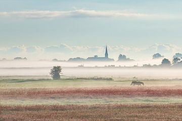 Wormer wakes up in the fog by Pieter Struiksma