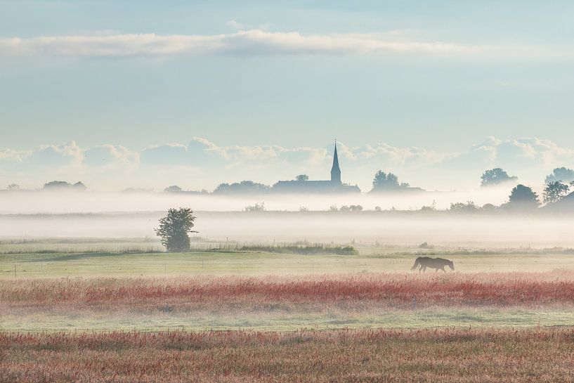 Wormer wakes up in the fog by Pieter Struiksma