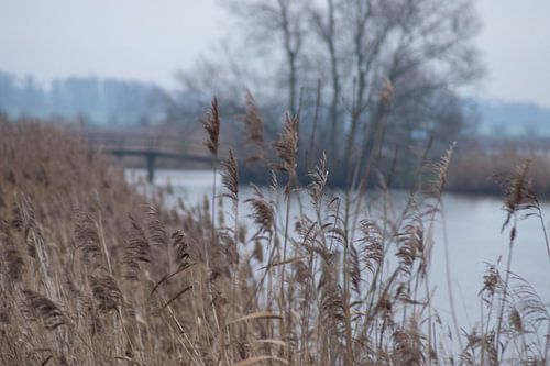 Uitzicht gat van de ham
