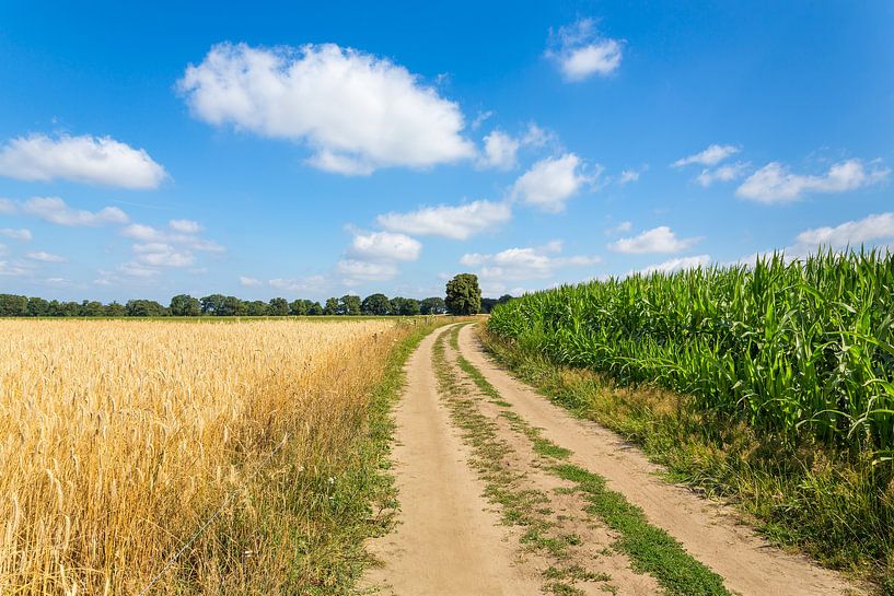 Landschaft in den Niederlanden mit sandiger Straße und landwirtschaftlichen Feldern von Ben Schonewille