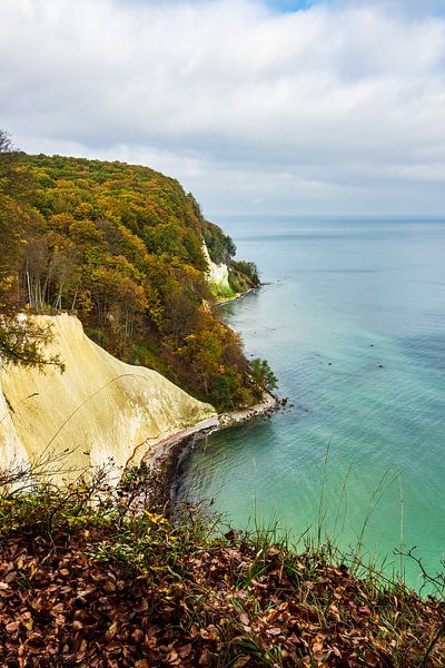 Chalk cliffs on shore of the Baltic Sea van Rico Ködder