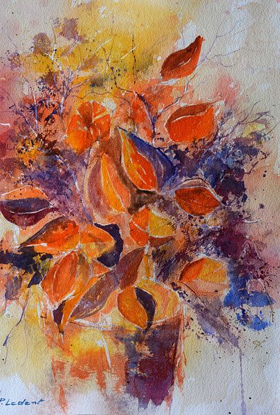 Physialis von pol ledent