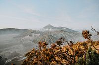 Reisedruck | Fotografie | Java Indonesien | Bromo Vulkan | Sonnenuntergang Bromo Berg Kunstdruck