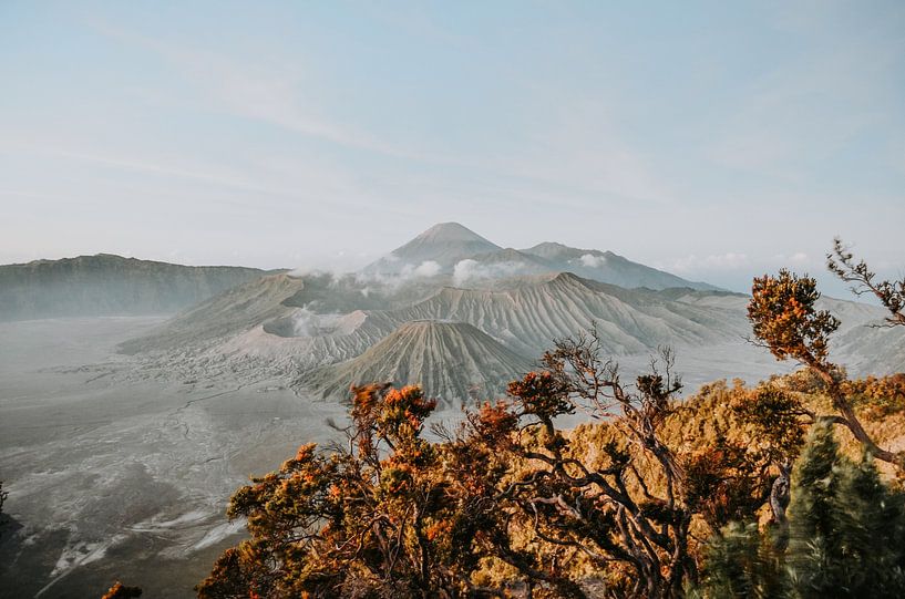 Travel print | photography | Java Indonesia | Bromo vulcano | Sunset Bromo mountain Art Print by Iris van Tricht