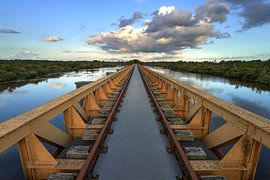 View through swamp bridge by FotoBob