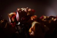 Roses van Marije Jellema thumbnail