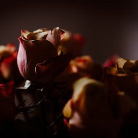 Roses von Marije Jellema