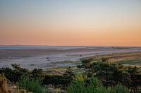 Terschelling, huifkarren op het groene strand