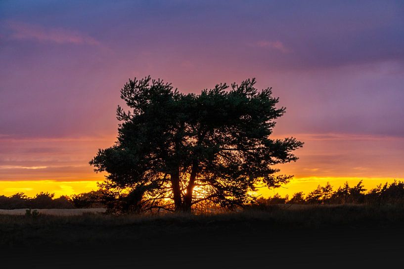 sunset on the Hoge Veluwe by Roy Kreeftenberg