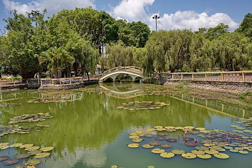 Serene natuur in een Vietnamees stadspark van Frank Photos