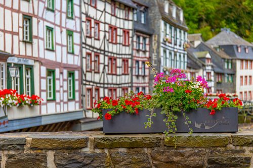 Half-timbered houses in Monschau