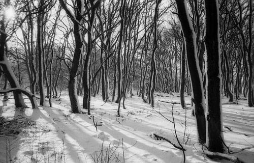 Schaduw in de sneeuw van Maaike van Stratum