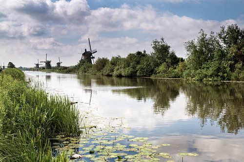 Molens langs Kinderdijk
