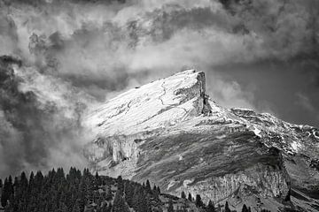 besneeuwde top in de Alpen van Heiko Meier