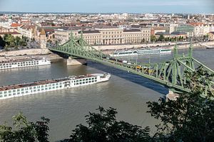 blick auf die freiheitsbrücke in budapest vom gellertberg