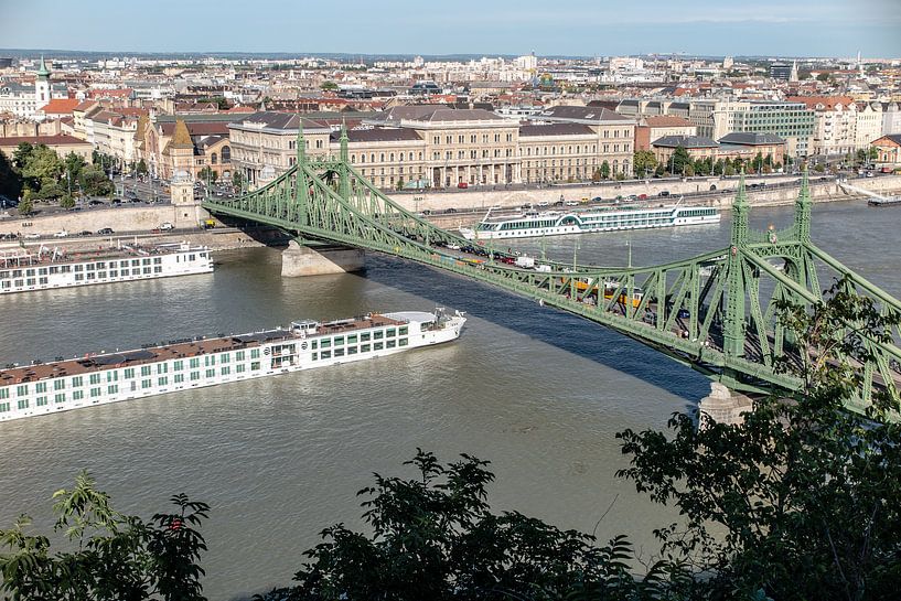 blick auf die freiheitsbrücke in budapest vom gellertberg von Eric van Nieuwland