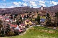Voorjaarswandeling door de prachtige Saale vallei bij Dornburg-Camburg - Thüringen - Duitsland van Oliver Hlavaty thumbnail