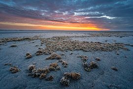 Plage de Terschelling sur Stijn Smits