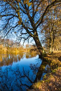 Schöner Blick auf das Wasser des Sees mit Laubbäumen, fallendem Herbstlaub und blauem Sonnenhimmel von Alex Winter