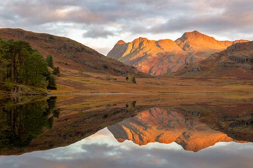 Perfecte spiegel aan Blea tarn, Lake District