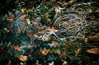 Red Moon Beech van GOOR abstracten thumbnail