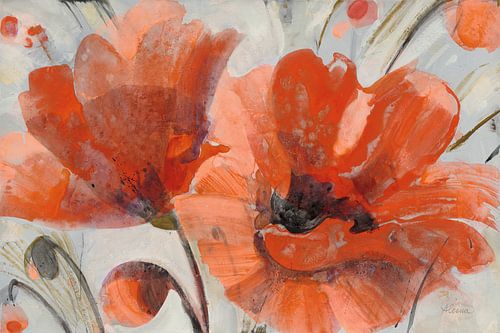 Popping, Albena Hristova