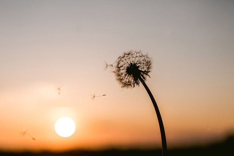 zonsondergang in nederland met prachtige pasteltinten van Lindy Schenk-Smit