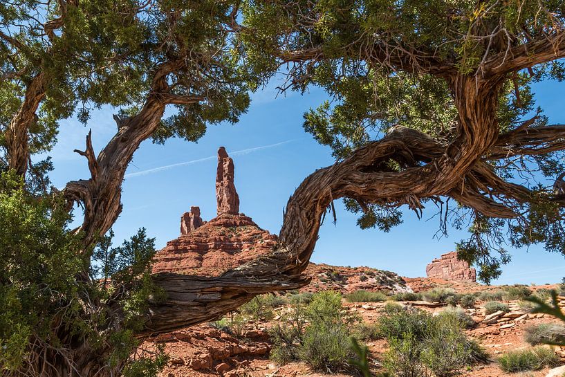 Paysage asséché de la Vallée des Dieux par Peter Leenen