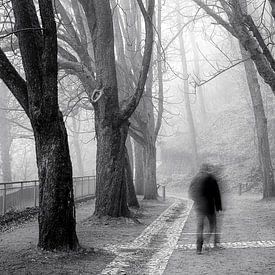 Benebelter Schlossberg Freiburg von Patrick Lohmüller