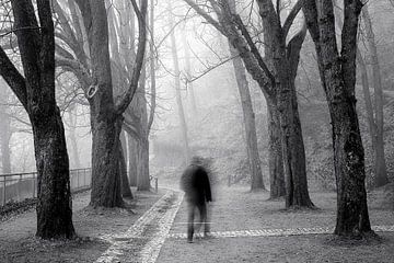 Benebelter Schlossberg Freiburg