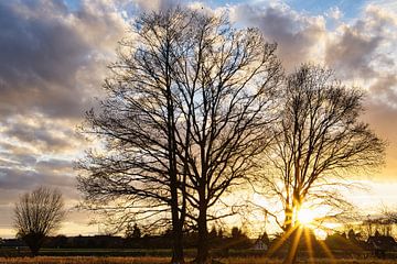 Zonsondergang van Joel Layaa-Laulhé