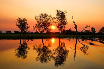 Koperkleurige zonsondergang met spiegeling in Kakadu National Park