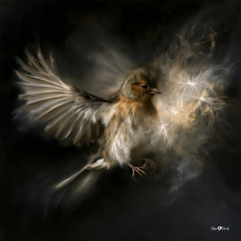 Vögelchen in Ölfarbe von Gelissen Artworks