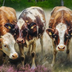 cows on the heathland by Marjolein Deelen