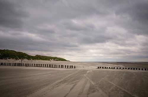 Pile heads on the beach near Hollum on Ameland