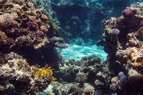 Straat tussen het koraal