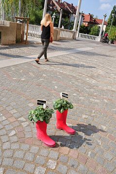 Red boots in Ljubljana.