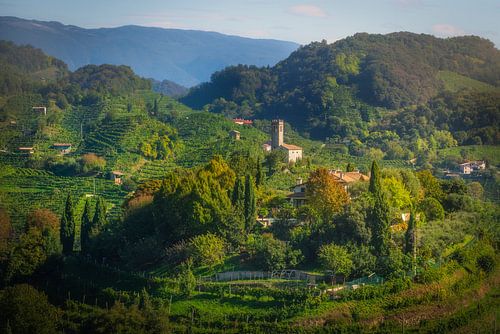 Prosecco heuvels en San Lorenzo kerk - Veneto, Italië