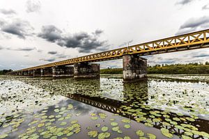 Moerputtenbrug