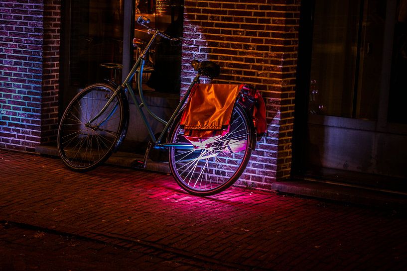 Fiets par Annemarie Welp