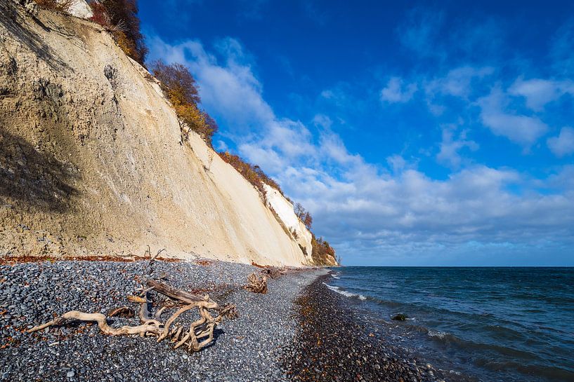 Ostseeküste auf der Insel Moen in Dänemark von Rico Ködder