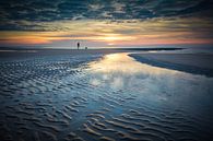 hardlopen met hond op strand van eric van der eijk thumbnail