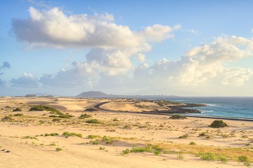 Les dunes près de Corralejo, à Fuerteventura