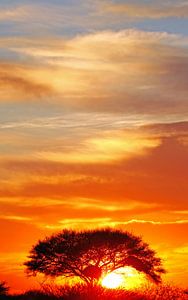 sunrise at Etosha National park, Namibia sur W. Woyke