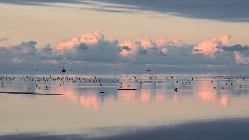 Wadden Sea