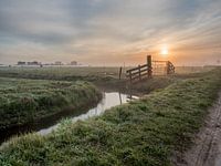 Morning fog at Castricum, The Netherlands