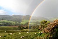 Nieuw Zeeland, New Zealand